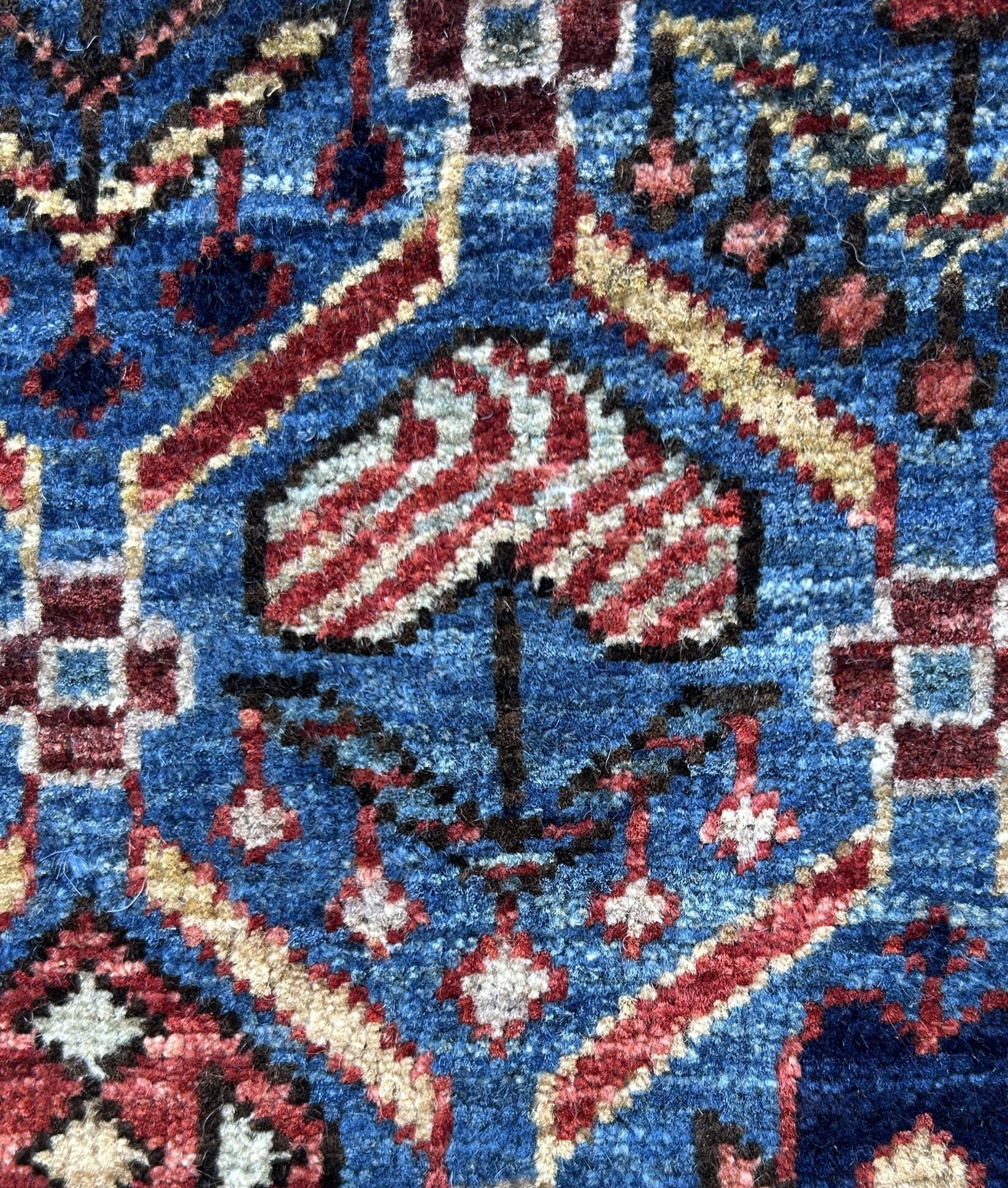 Square Shirvan image 6