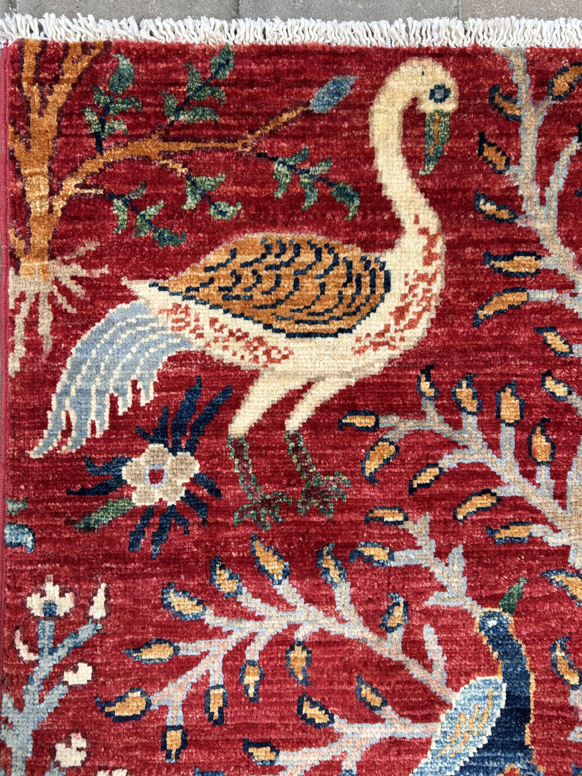 Peacock Garden Scene image 6