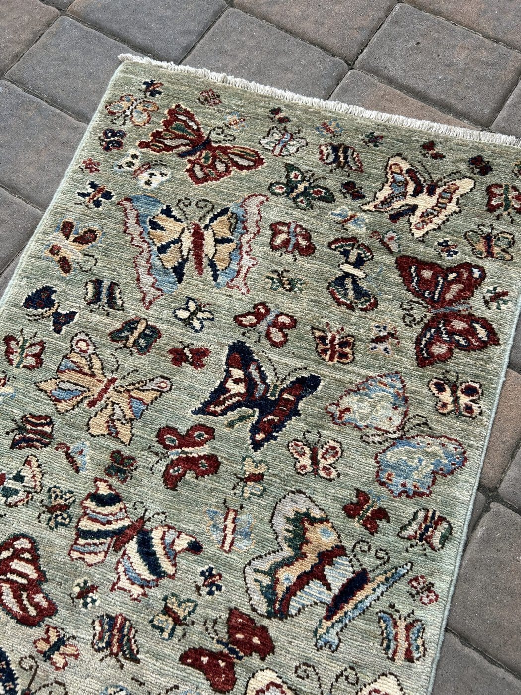 Butterflies 🦋 image 3