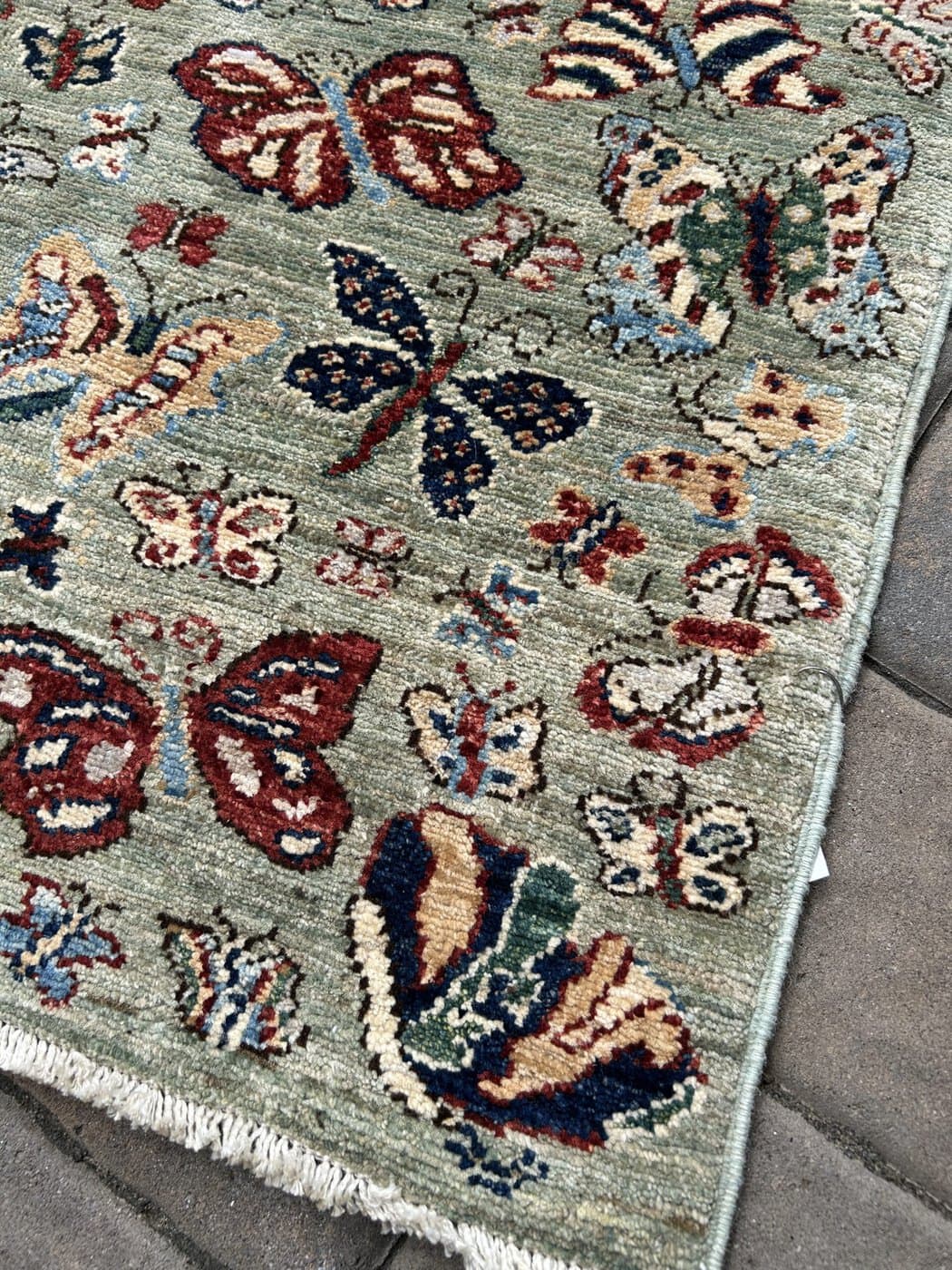 Butterflies 🦋 image 4
