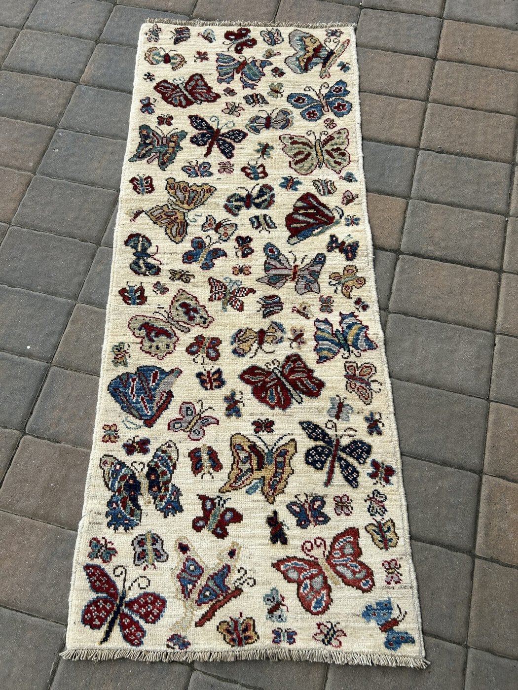 Butterflies 🦋 image 1